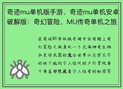 奇迹mu单机版手游、奇迹mu单机安卓破解版：奇幻冒险，MU传奇单机之旅