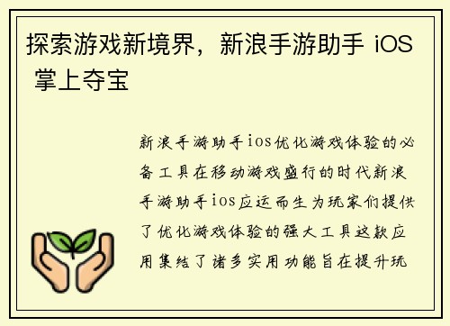 探索游戏新境界，新浪手游助手 iOS 掌上夺宝
